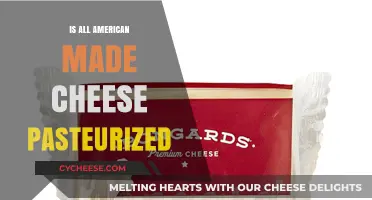 Unraveling the Mystery: Is All American Cheese Pasteurized?