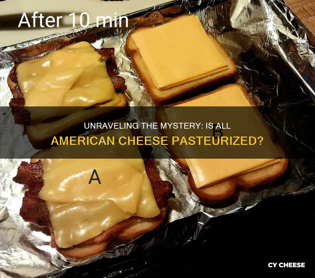 is all american made cheese pasteurized