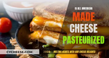 American Cheese: Is Pasteurization Standard Practice?