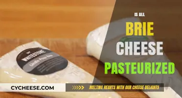 Is All Brie Cheese Pasteurized? Uncovering the Truth About Your Favorite Cheese