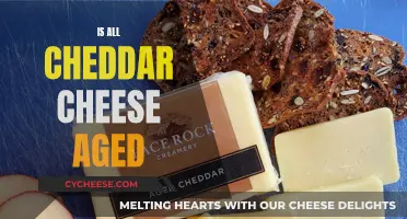 The Cheddar Conundrum: Unveiling the Secrets of Aging