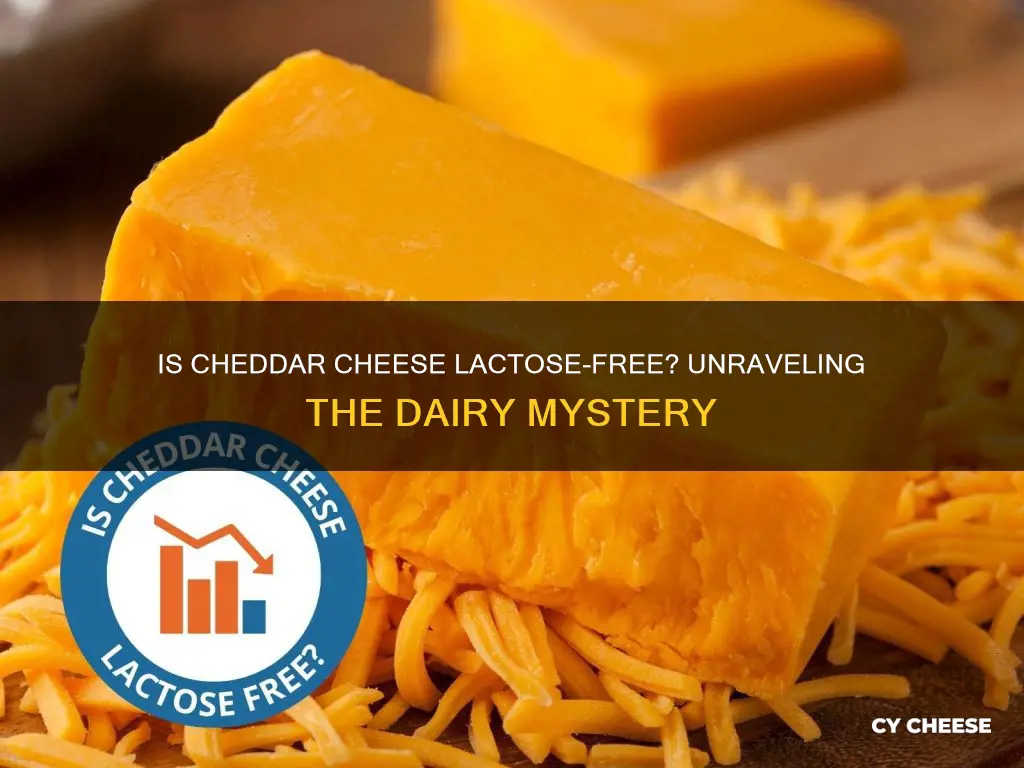 is all cheddar cheese lactose free