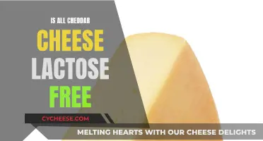 Cheddar Cheese: Lactose-Free or Not?