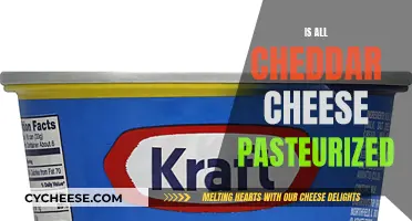 Unraveling the Cheddar Mystery: Pasteurization's Role