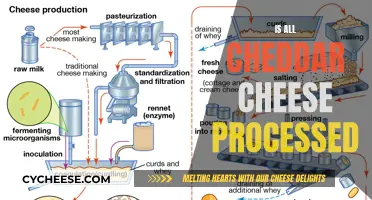 The Cheddar Conundrum: Is All Cheddar Processed?