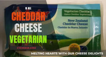 Unraveling the Cheddar Mystery: Is It Vegetarian-Friendly?