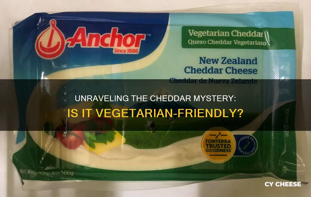 is all cheddar cheese vegetarian