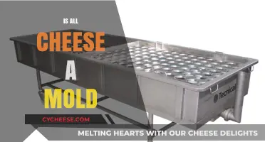 Is All Cheese Moldy? Unraveling the Truth Behind Cheese Production
