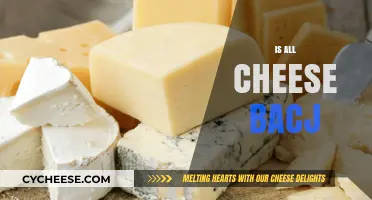 Is All Cheese Bad? Unraveling the Truth About Cheese and Health