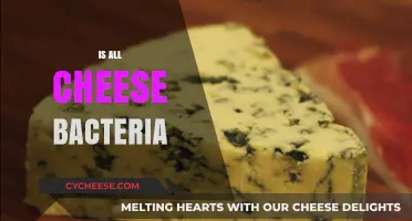 Is All Cheese Bacteria? Unraveling the Microbial Mystery Behind Dairy