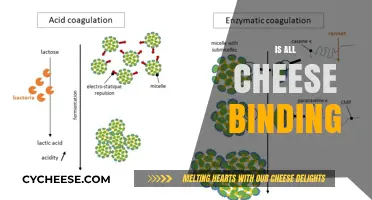 Is All Cheese Binding? Unraveling the Truth About Cheese and Digestion