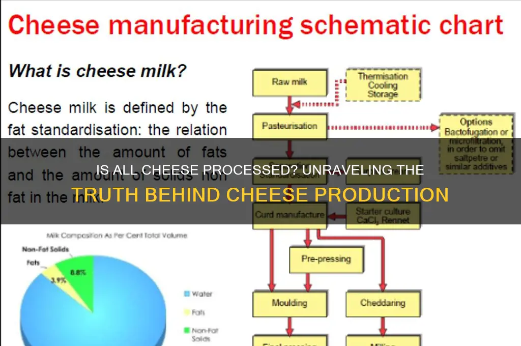 is all cheese considered processed
