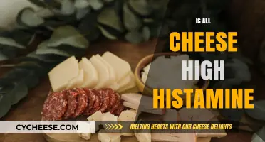 Is All Cheese High Histamine? Unraveling the Dairy Dilemma