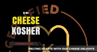 Is All Cheese Kosher? Exploring Dairy Laws and Certification
