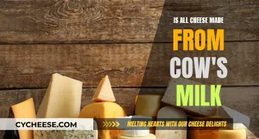 The Truth About Cheese: Exploring Milk Sources