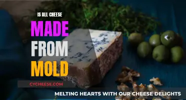 Cheese and Mold: What's the Connection?