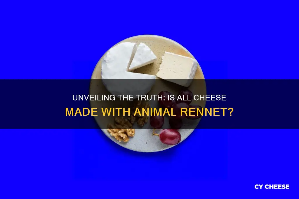 is all cheese made with animal rennet