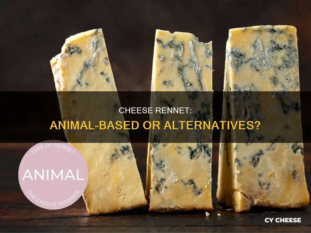 is all cheese made with animal rennet