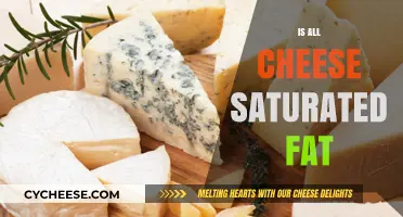 Is All Cheese Saturated Fat? Unraveling the Dairy Dilemma