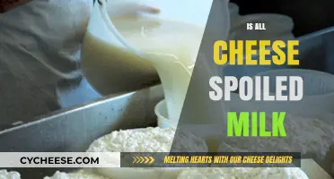 Is All Cheese Spoiled Milk? Unraveling the Dairy Transformation Mystery