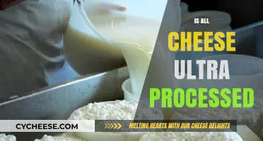 Is All Cheese Ultra-Processed? Unraveling the Truth Behind Dairy