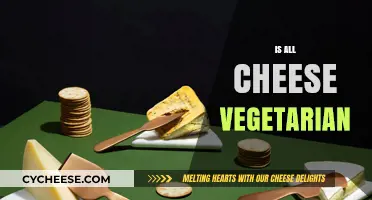Is All Cheese Vegetarian? Uncovering Dairy's Hidden Animal Ingredients