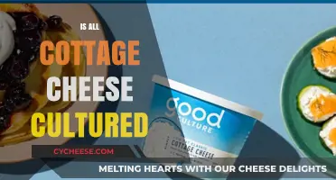 Is All Cottage Cheese Cultured? Unraveling the Dairy Mystery