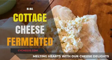 Is Cottage Cheese Fermented? Unraveling the Dairy Mystery