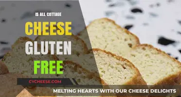 Is Cottage Cheese Gluten-Free? A Complete Guide for Celiacs