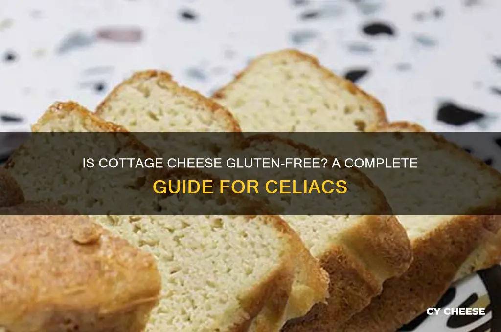 is all cottage cheese gluten free
