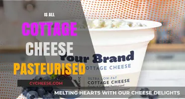 Is Cottage Cheese Pasteurized? Unraveling the Dairy Processing Mystery