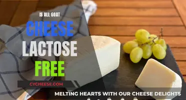 Goat's Milk: Lactose-Free or Not? Unraveling the Mystery