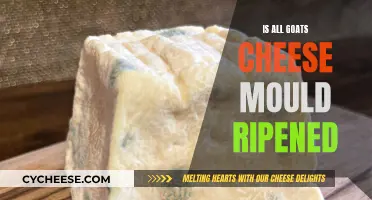 Goat Cheese: Mould-Ripened or Not?