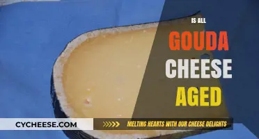 Is All Gouda Cheese Aged? Uncovering the Aging Process