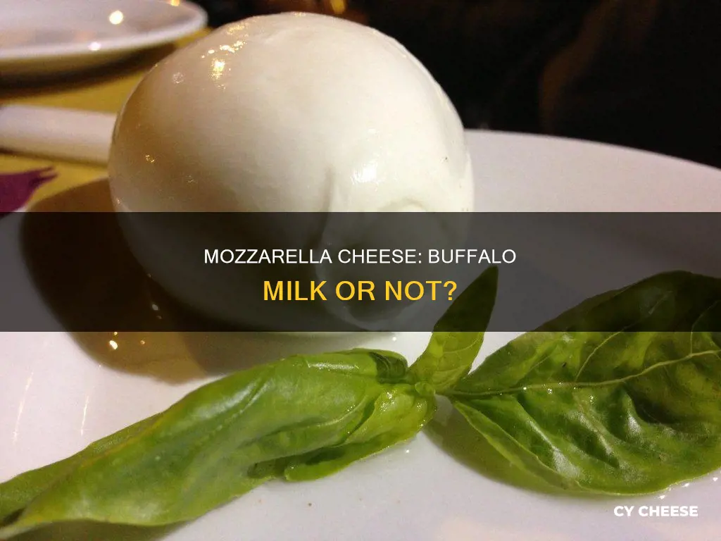 is all mozzarella cheese made from buffalo milk