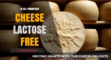 Parmesan Cheese: Lactose-Free Superfood?