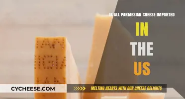 Is All Parmesan Cheese in the US Imported? The Truth Revealed