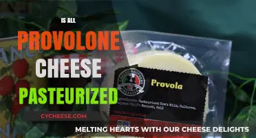 Is Provolone Cheese Pasteurized? Understanding Cheese Safety and Production