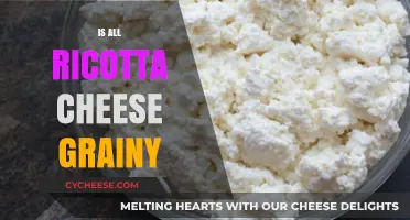 Is All Ricotta Cheese Grainy? Texture Truths Revealed