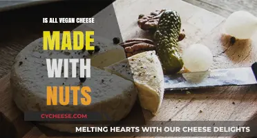 Exploring the Nutty Side of Vegan Cheese: A Tasty Adventure