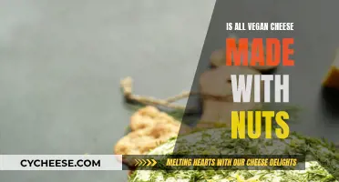 Vegan Cheese: Nut-Based or Not?