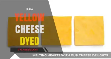Is All Yellow Cheese Dyed? Uncovering the Truth Behind the Color