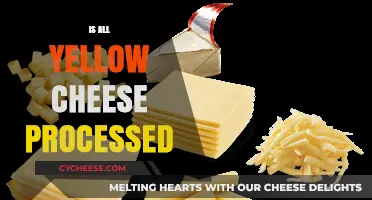 Is All Yellow Cheese Processed? Uncovering the Truth Behind the Color