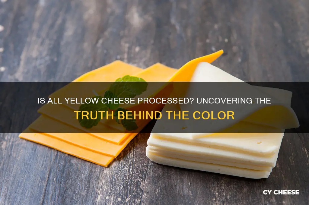 is all yellow cheese processed
