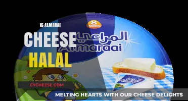 Is Almarai Cheese Halal? A Comprehensive Guide for Consumers