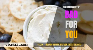 Almond Cheese: Healthy or Unhealthy?