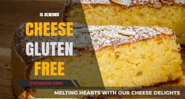 Almond Cheese: A Gluten-Free Option?