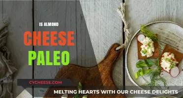 Is Almond Cheese Paleo? A Nut-Based Dairy Alternative Explained