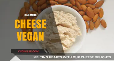 Is Almond Cheese Vegan? Exploring Plant-Based Dairy Alternatives