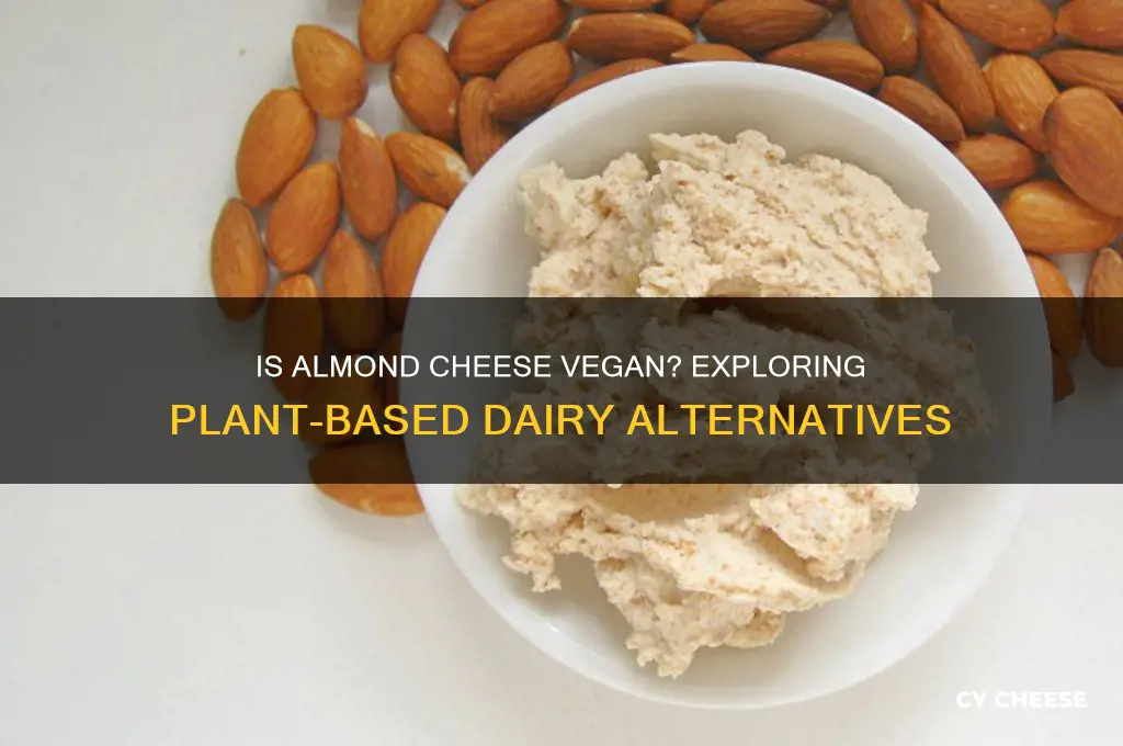 is almond cheese vegan
